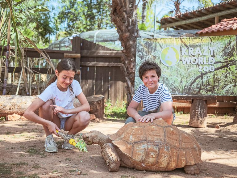 Crazy World Entrance Ticket: Welcome to Krazy World, an interactive zoo that promises endless excitement for the entire family! Immerse yourself in a world of animal encounters, thrilling activities, and unforgettable experiences that will leave you with cherished memories.